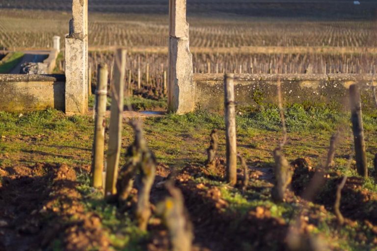 A Climat is Worth a Thousand Words