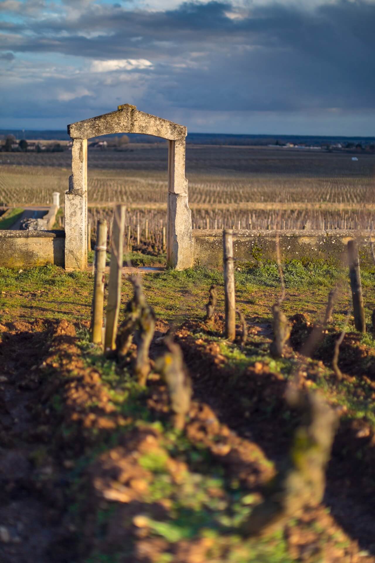 A Climat is Worth a Thousand Words