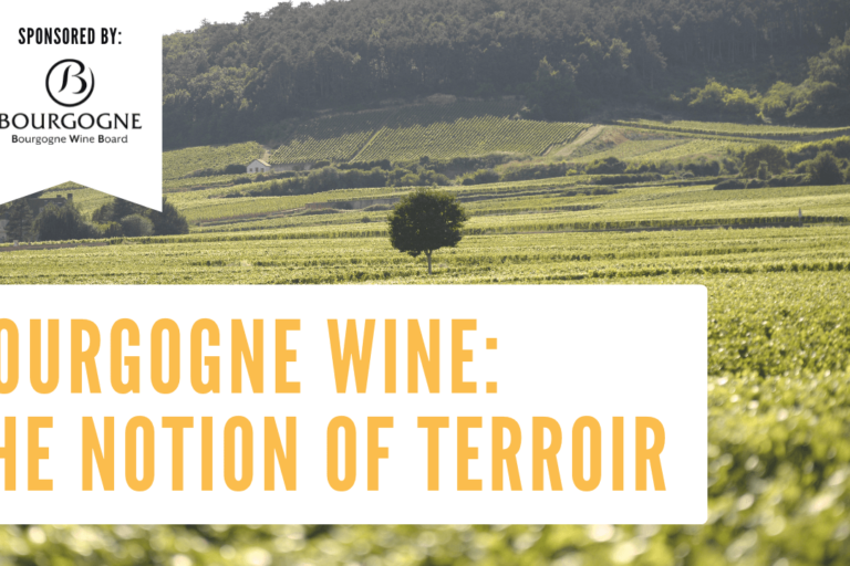Bourgogne Wine