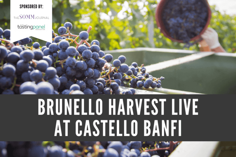 Brunello Harvest Live at Castello Banfi