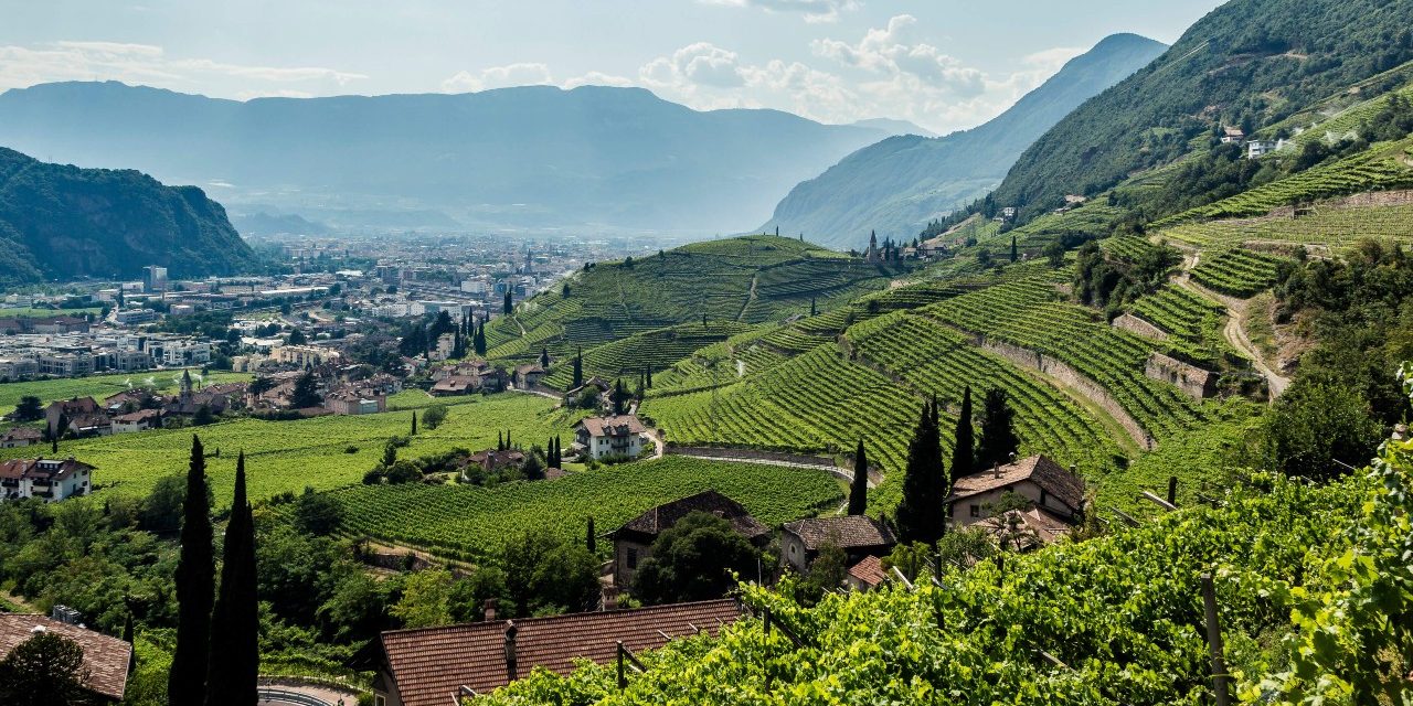 Alto Adige: A Harmony of Contrasts Alto Adige: A Harmony of Contrasts