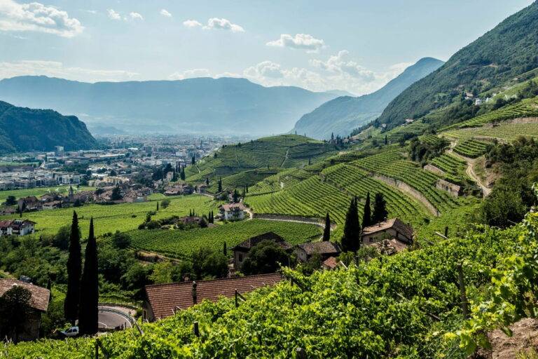 Alto Adige: A Harmony of Contrasts