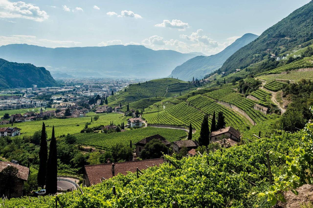 Alto Adige: A Harmony of Contrasts