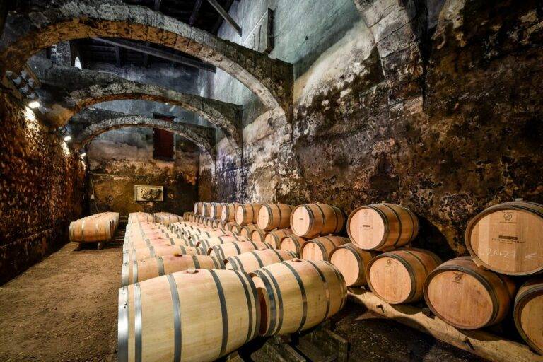 Exploring the Medoc Region-1