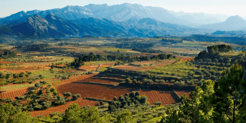 European Garnacha/Grenache Producers’ Best Practices and Their Terroirs European Garnacha/Grenache Producers’ Best Practices and Their Terroirs