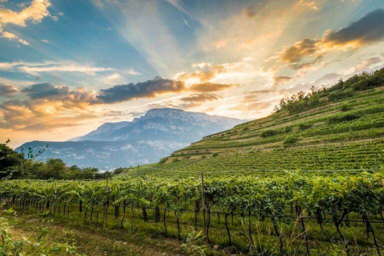 Great Bubbly from Italy