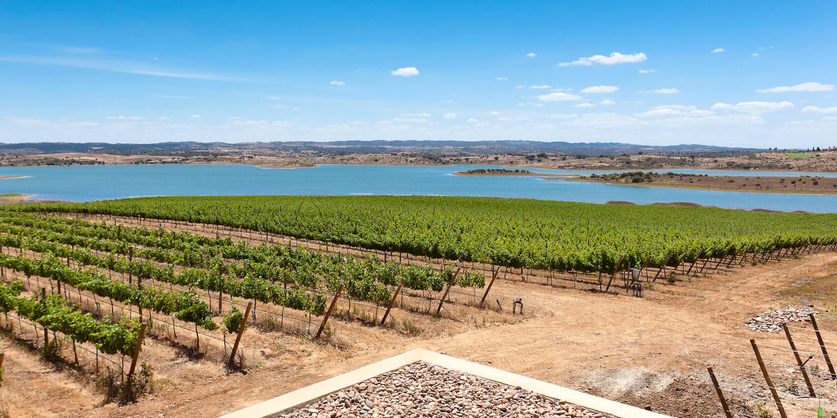 A Modern-Day Classic: Inside Portugal’s Wine Renaissance