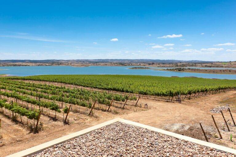 A Modern-Day Classic: Inside Portugal’s Wine Renaissance