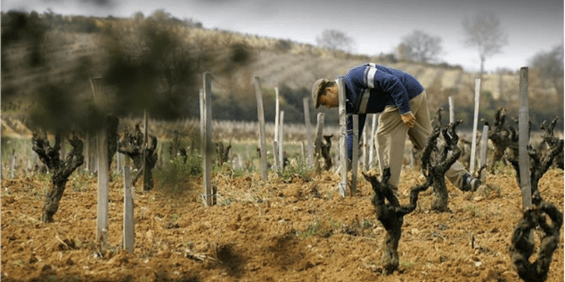 Sand-Soils-3-sized Sand-Soils