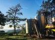Orvieto DOC: Home to one of the Greatest White Wines of Italy