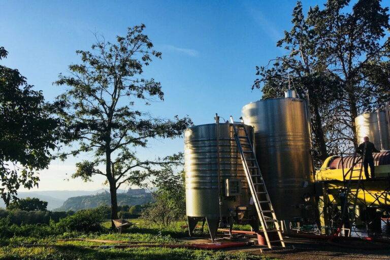 Orvieto DOC: Home to one of the Greatest White Wines of Italy