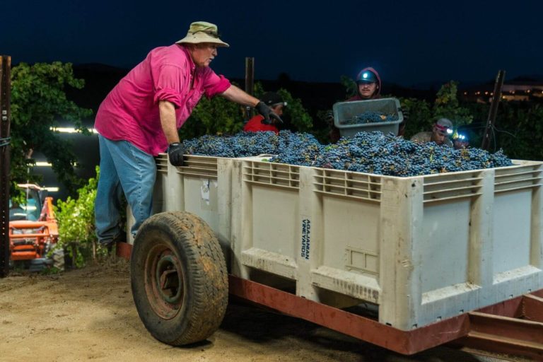 Winemaker or Somm Winemaker or Somm
