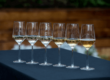 Riesling by Region: Comparing German Riesling to its International Counterparts